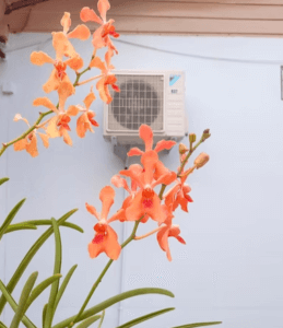 ac dealer in Chennai