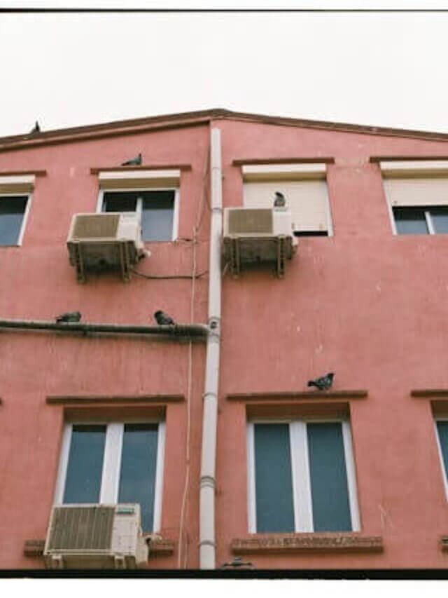 pexels-carlo-junemann-156928830-16029948